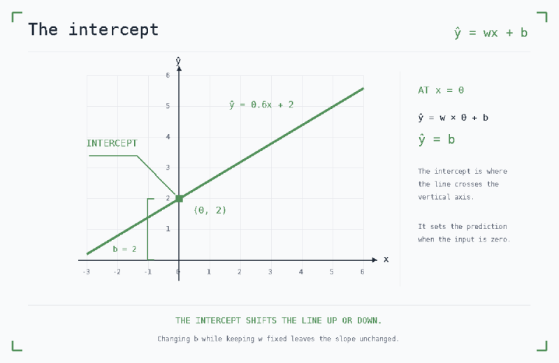 intercept